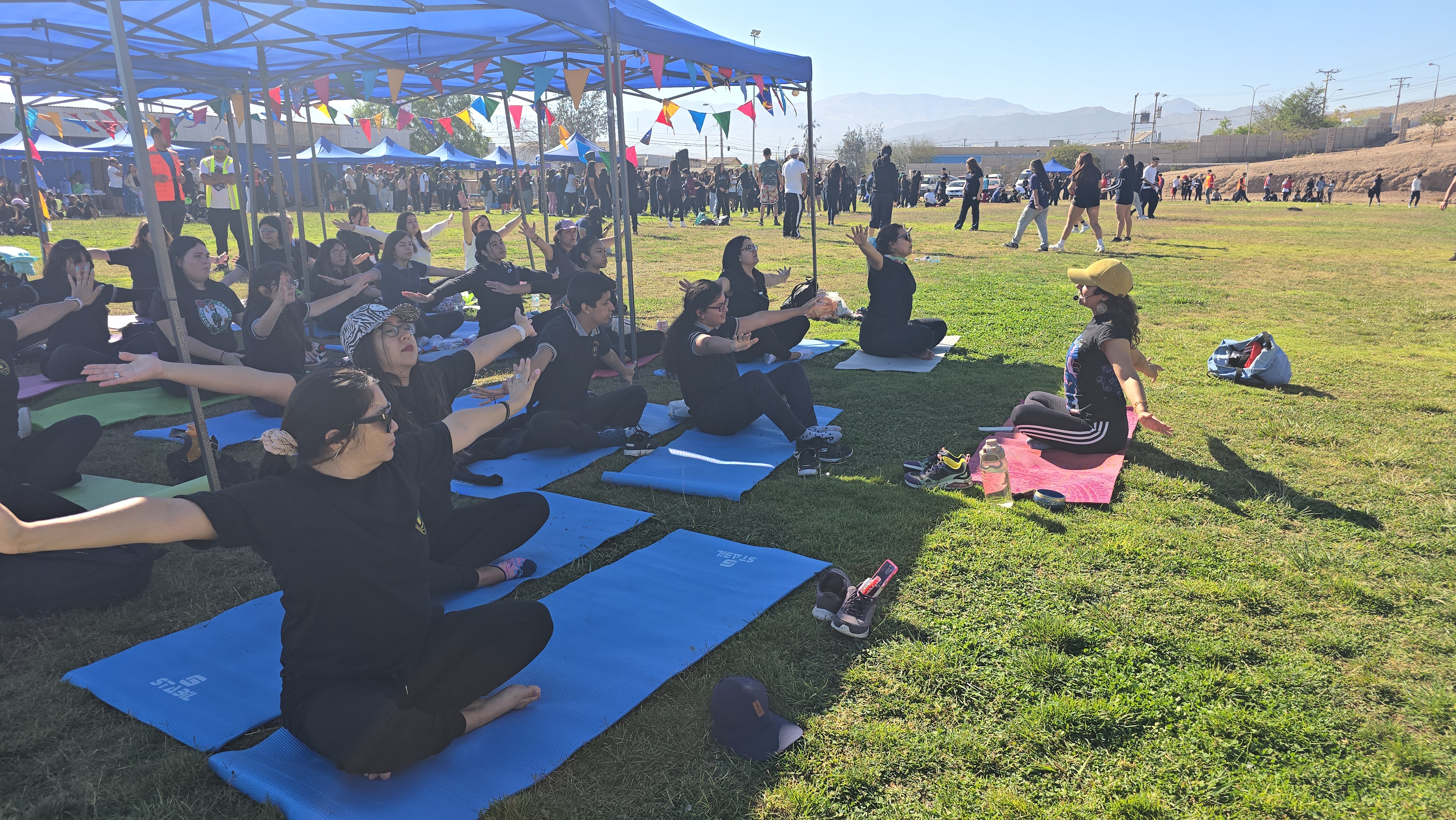 Dia de la activiad, yoga